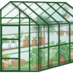 Many Plants in Greenhouse with glass wall on white background